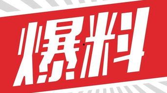 獨(dú)家爆料,震驚內(nèi)幕，揭秘事件背后真相！