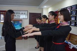 河北藝考爆料最新消息,揭秘?zé)衢T專業(yè)錄取情況及備考策略