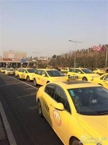 納雍出租車爆料案件最新,真相浮出水面，警方全力追查