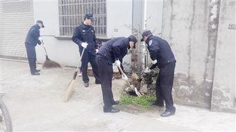 新獅街道爆料事件最新,揭秘背后真相與影響